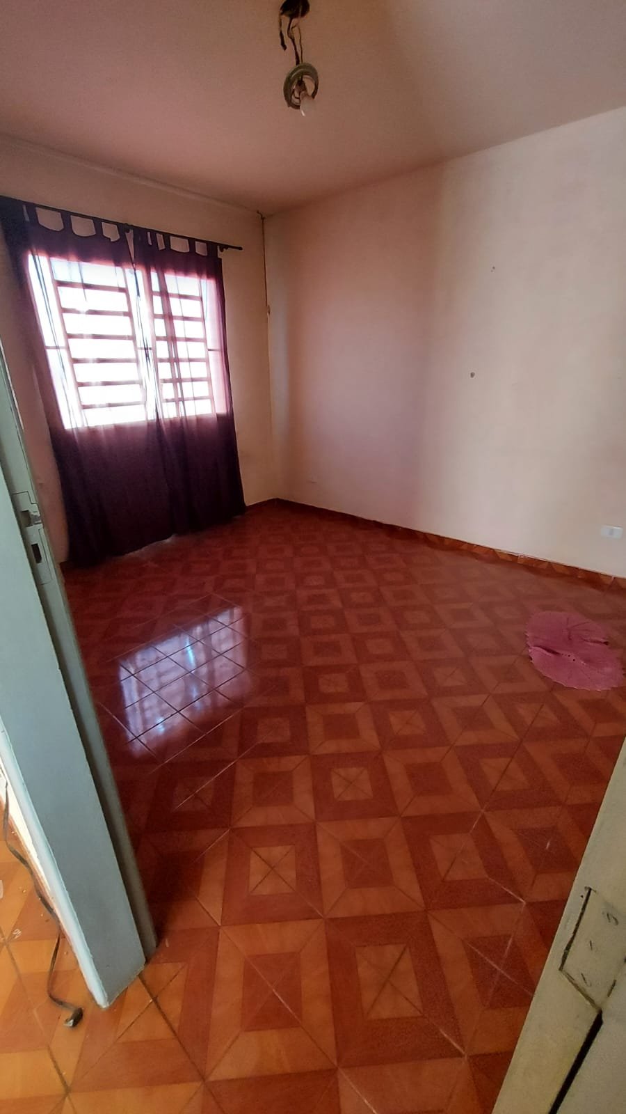 avgabrielfreceirodemiranda67800007.jpeg