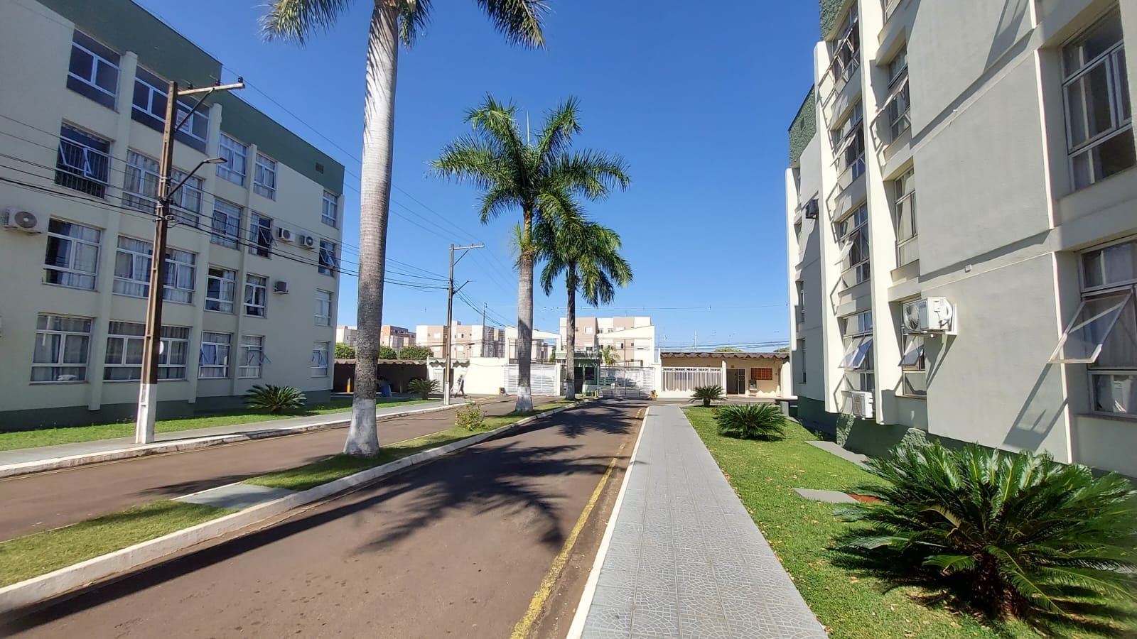 portalpalmeirasbloco7cap230002.jpeg
